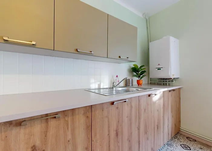 Le Petit Chez Vous Appartement Colmar