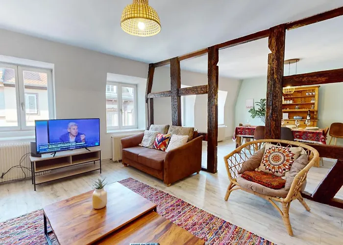Appartement Le Petit Chez Vous Colmar